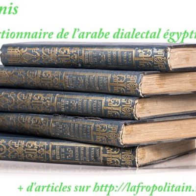 (Mon) dictionnaire de l’arabe dialectal égyptien : tome 1.